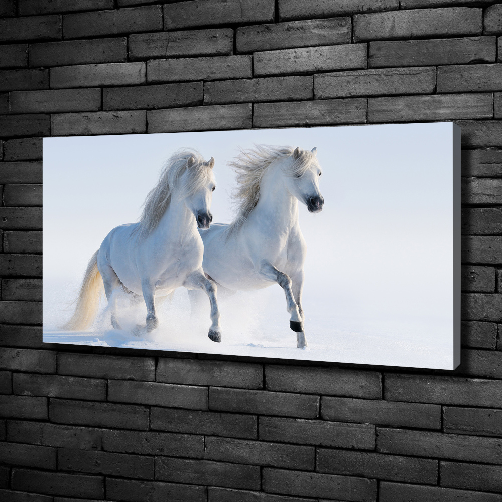 Tableau mural sur toile Deux chevaux dans la neige