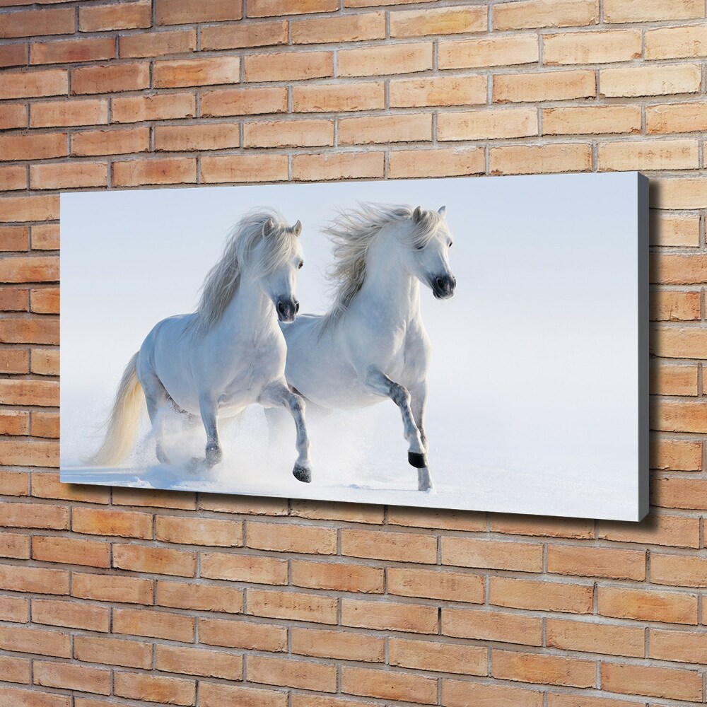 Tableau mural sur toile Deux chevaux dans la neige