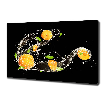 Tableau toile imprimée Abricots et eau