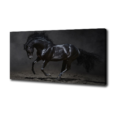 Tableau photo sur toile Cheval noir