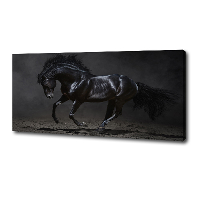 Tableau photo sur toile Cheval noir