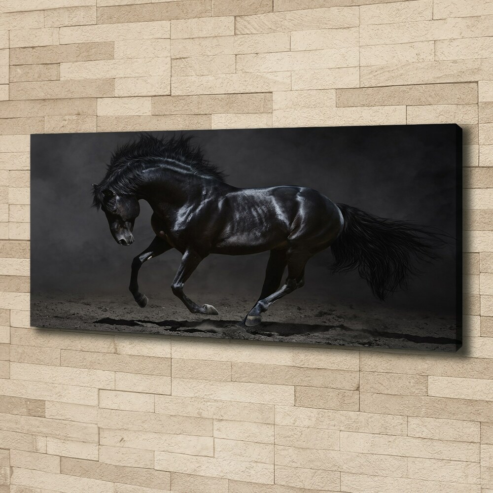 Tableau photo sur toile Cheval noir