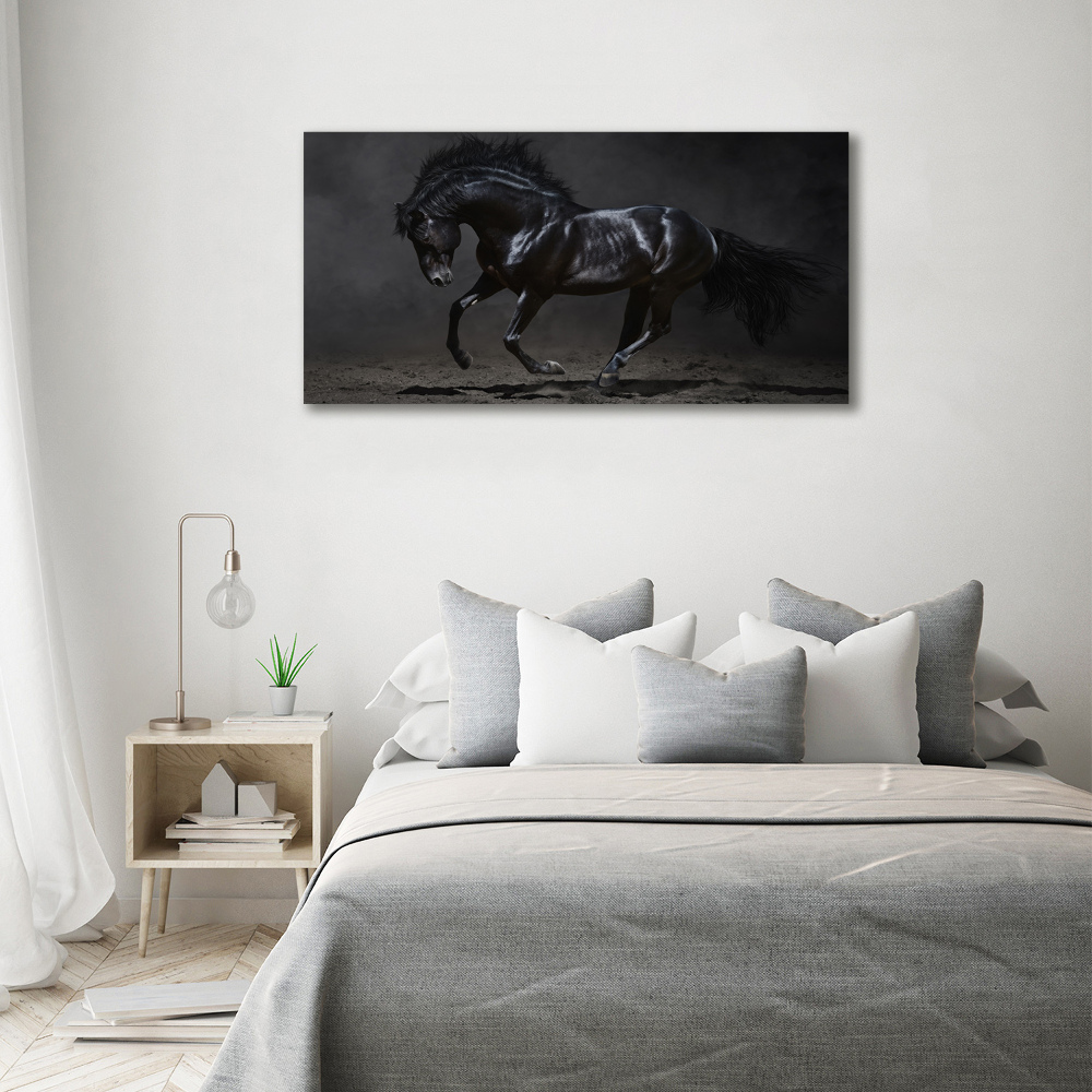 Tableau photo sur toile Cheval noir