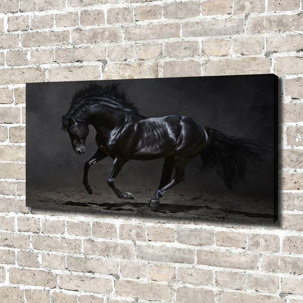 Tableau photo sur toile Cheval noir