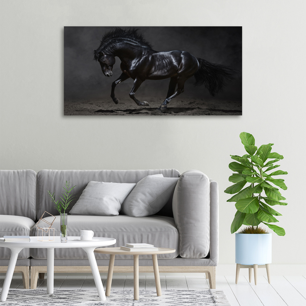 Tableau photo sur toile Cheval noir