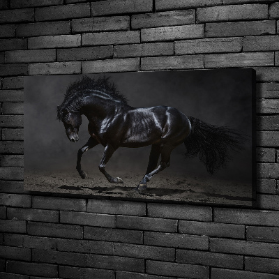 Tableau photo sur toile Cheval noir