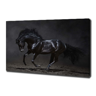 Tableau photo sur toile Cheval noir