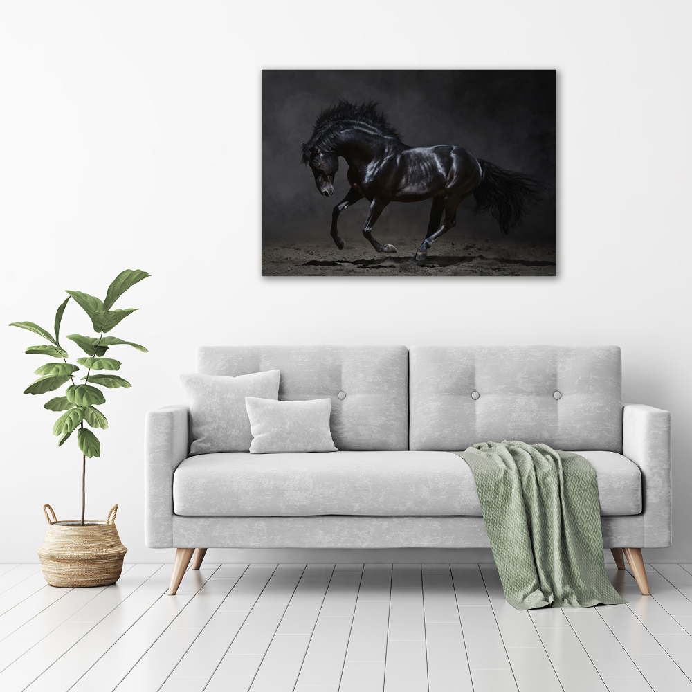 Tableau photo sur toile Cheval noir