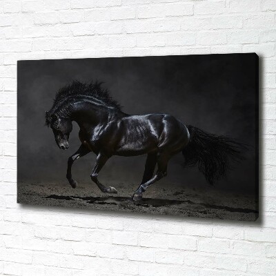 Tableau photo sur toile Cheval noir