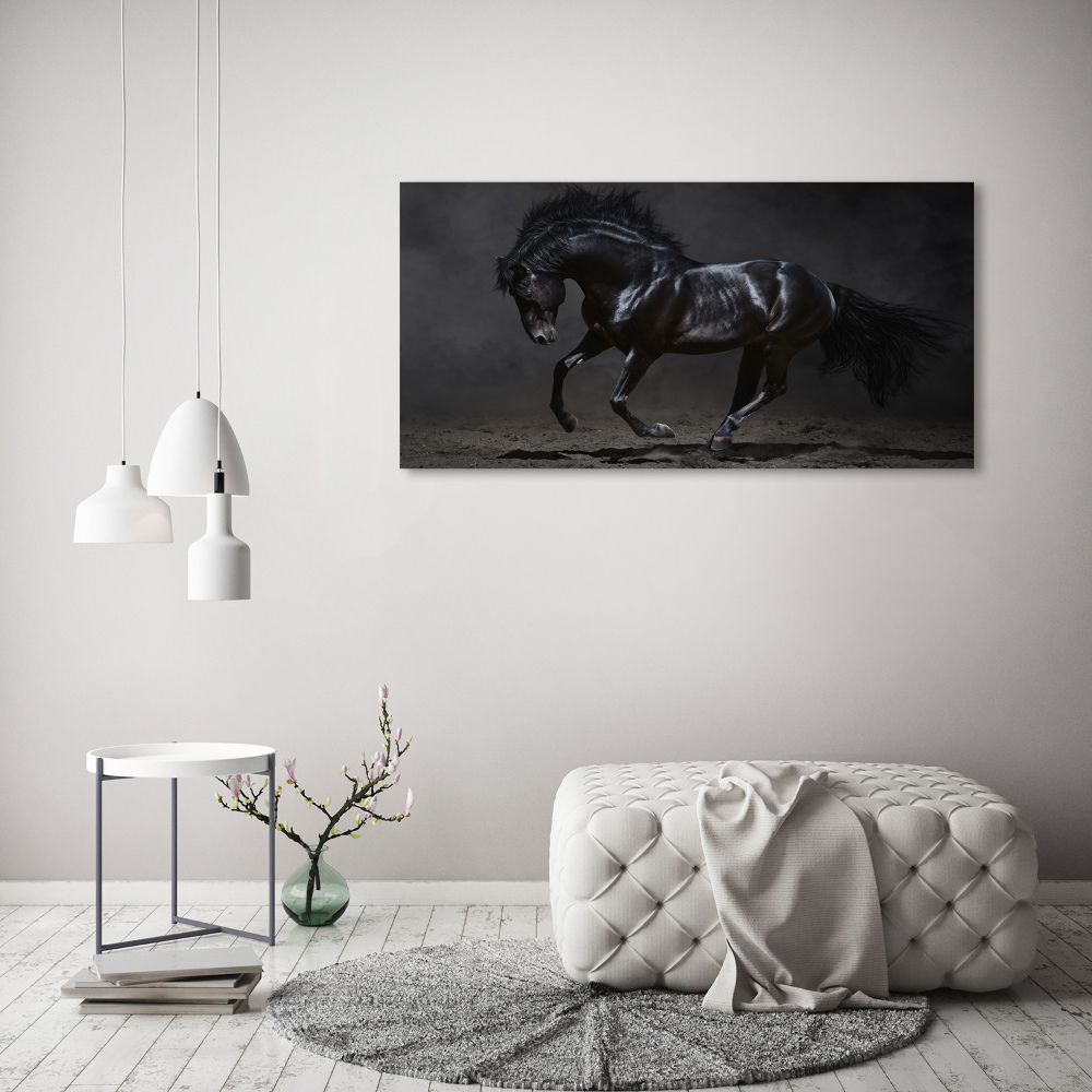 Tableau photo sur toile Cheval noir