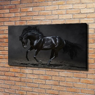 Tableau photo sur toile Cheval noir