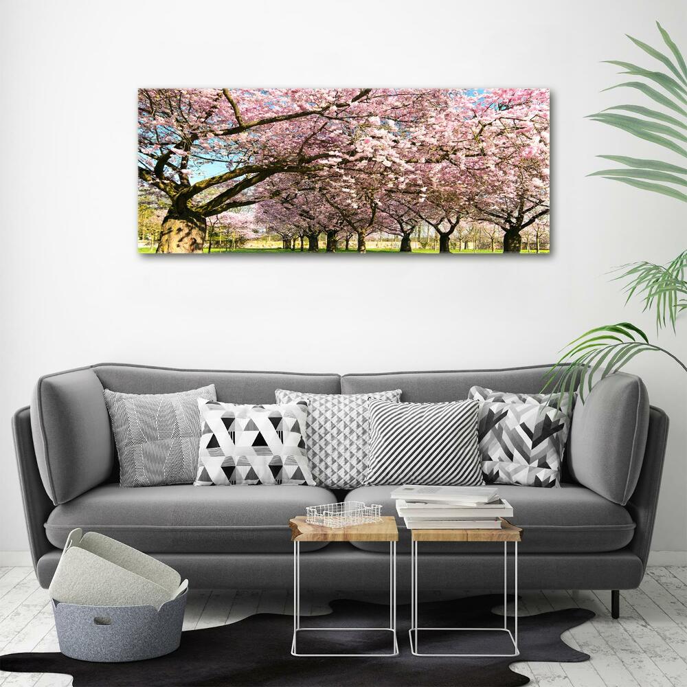 Tableau mural sur toile Cerisiers