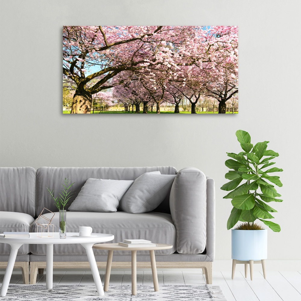 Tableau mural sur toile Cerisiers