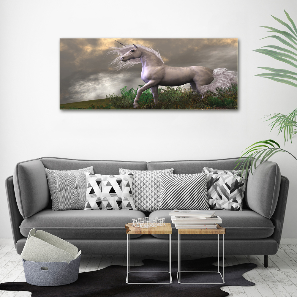 Tableau photo sur toile Licorne grise