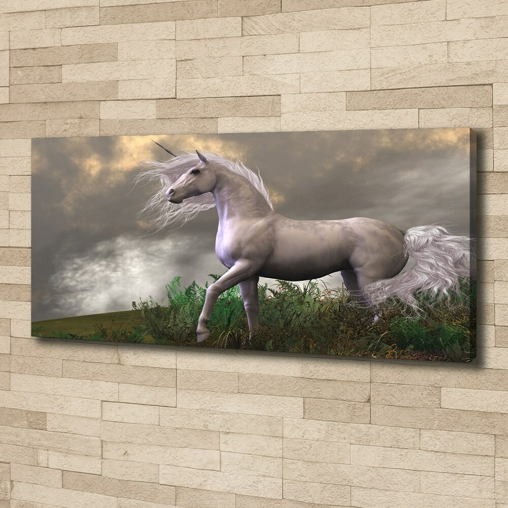 Tableau photo sur toile Licorne grise