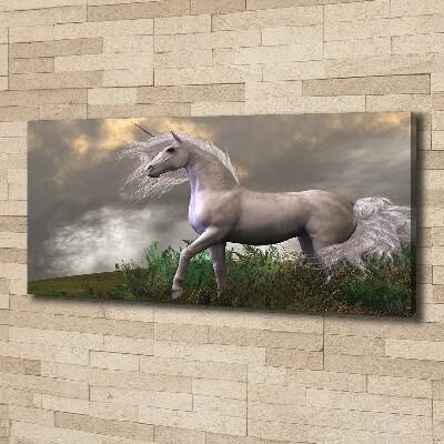 Tableau photo sur toile Licorne grise