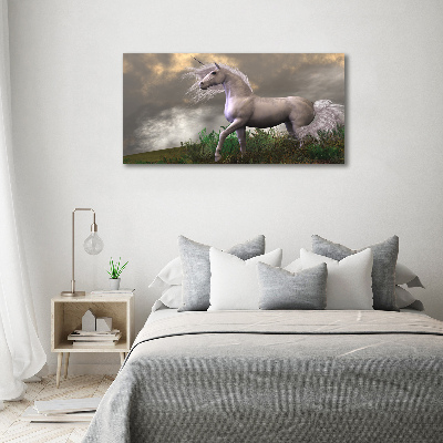 Tableau photo sur toile Licorne grise