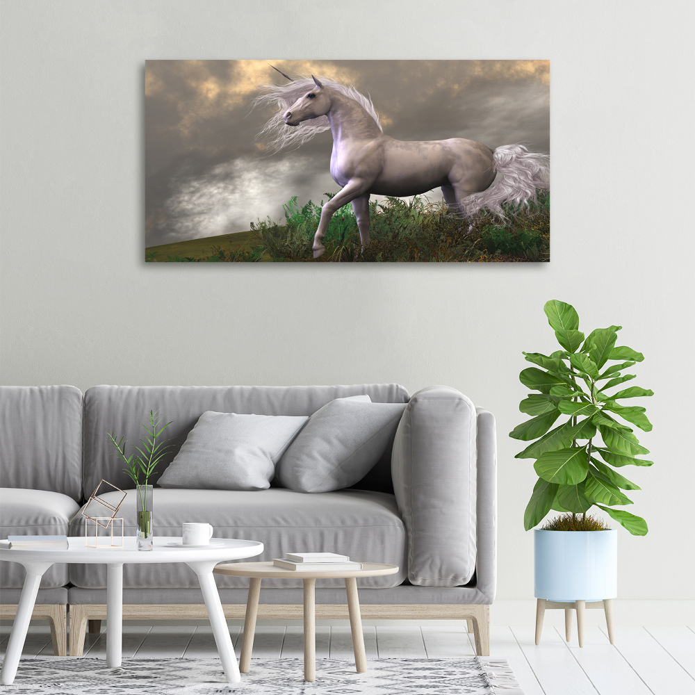 Tableau photo sur toile Licorne grise