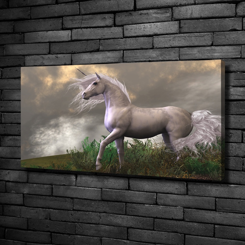 Tableau photo sur toile Licorne grise