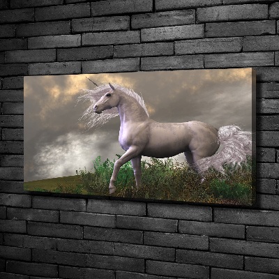 Tableau photo sur toile Licorne grise