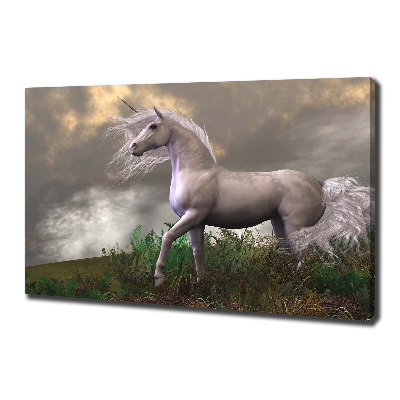 Tableau photo sur toile Licorne grise