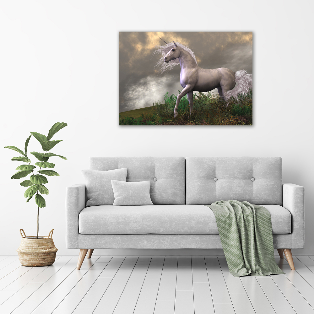 Tableau photo sur toile Licorne grise