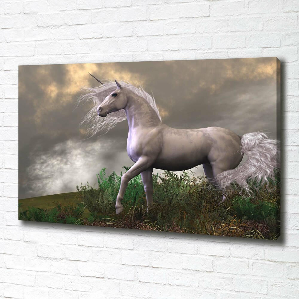 Tableau photo sur toile Licorne grise