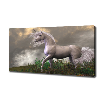 Tableau photo sur toile Licorne grise