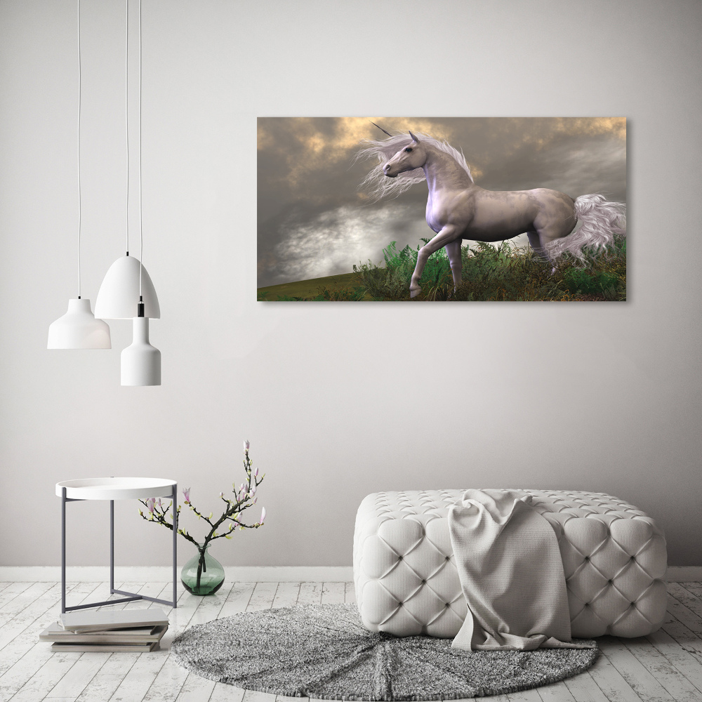 Tableau photo sur toile Licorne grise