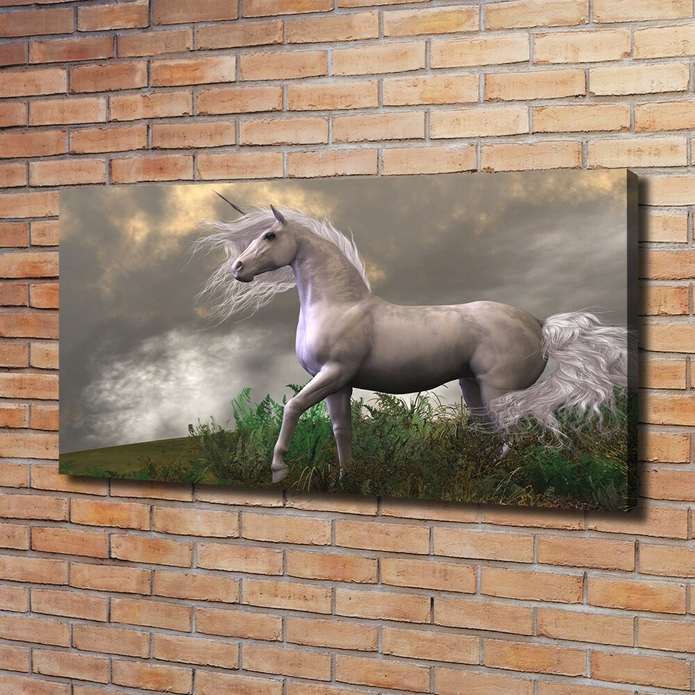 Tableau photo sur toile Licorne grise