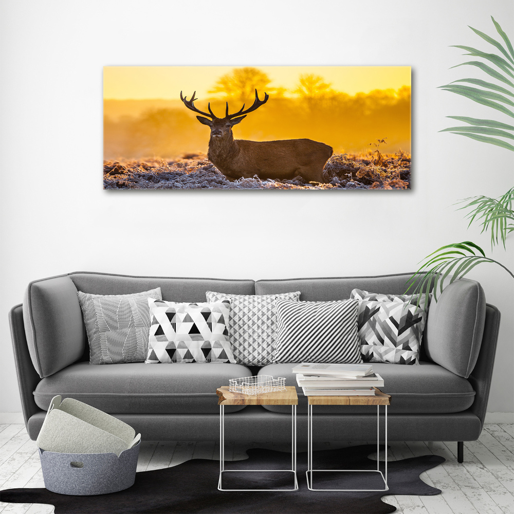 Tableau mural sur toile Cerf au lever du soleil