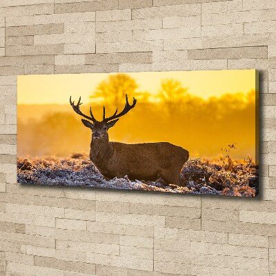 Tableau mural sur toile Cerf au lever du soleil