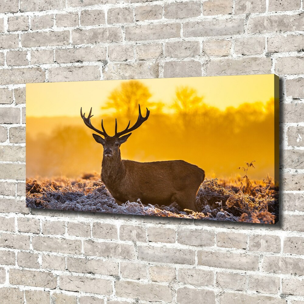 Tableau mural sur toile Cerf au lever du soleil