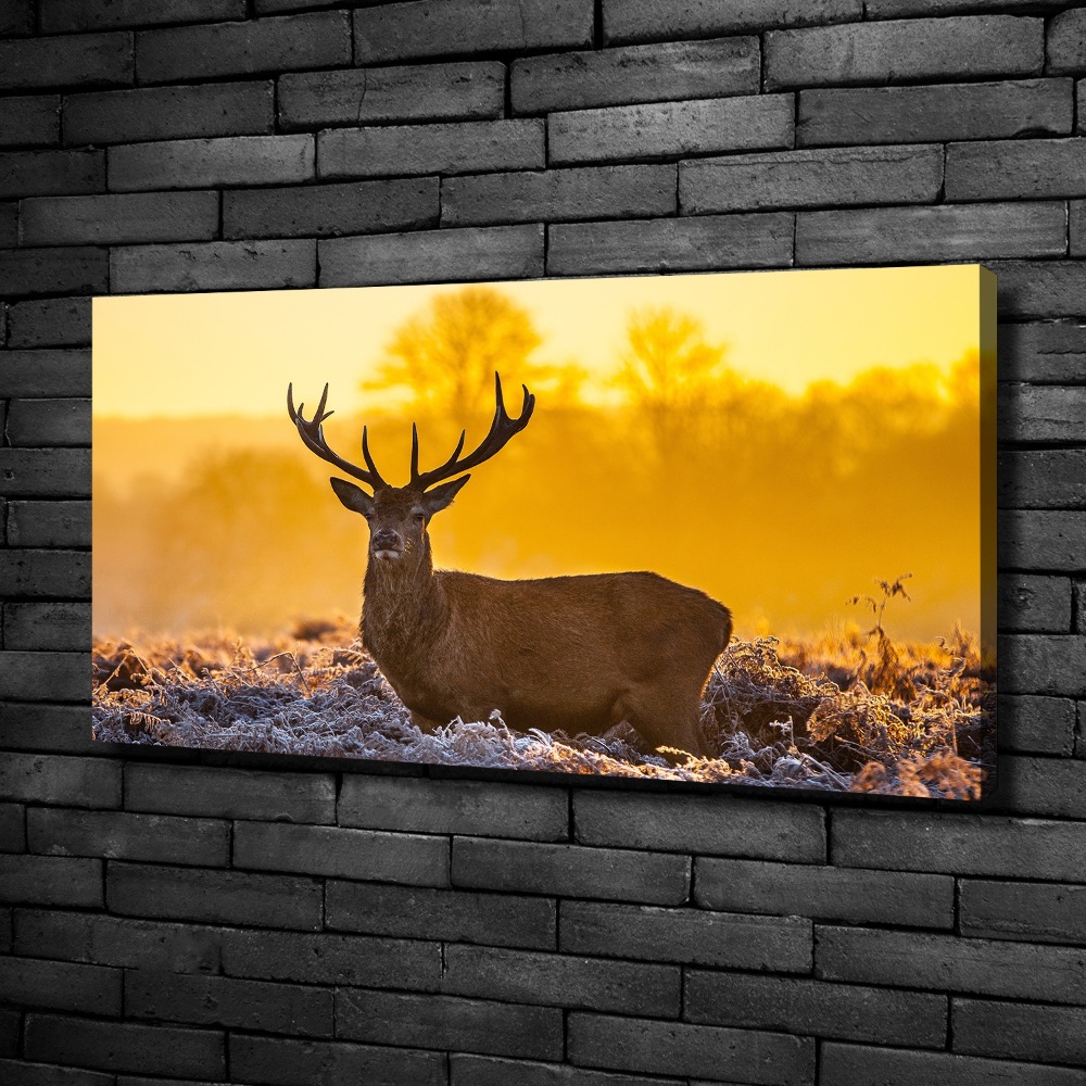 Tableau mural sur toile Cerf au lever du soleil