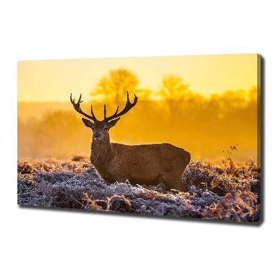 Tableau mural sur toile Cerf au lever du soleil