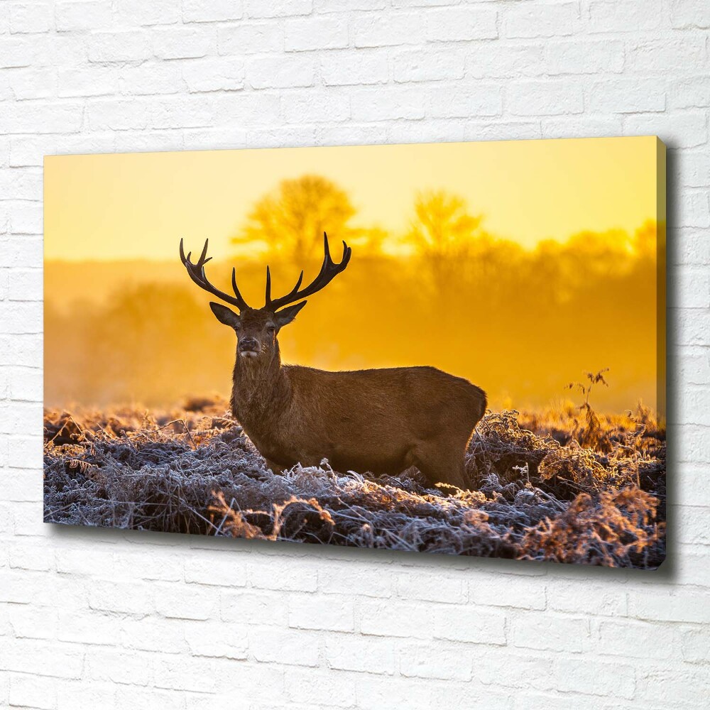 Tableau mural sur toile Cerf au lever du soleil