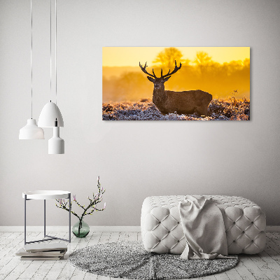 Tableau mural sur toile Cerf au lever du soleil