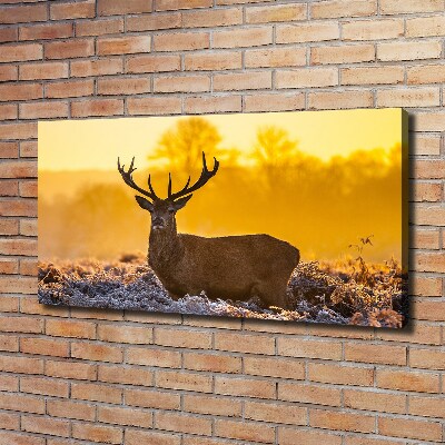 Tableau mural sur toile Cerf au lever du soleil