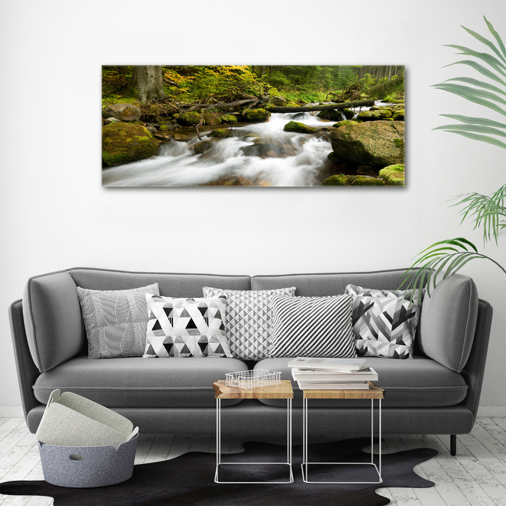 Tableau mural sur toile Ruisseau olczysien