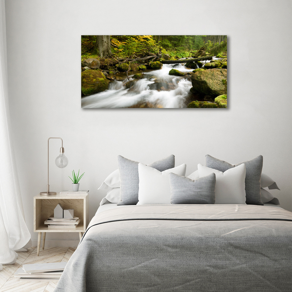 Tableau mural sur toile Ruisseau olczysien