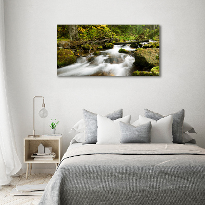 Tableau mural sur toile Ruisseau olczysien