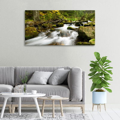 Tableau mural sur toile Ruisseau olczysien