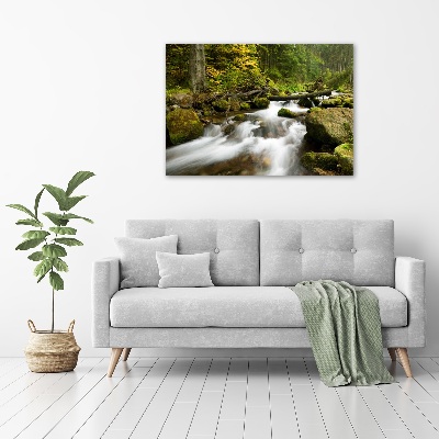 Tableau mural sur toile Ruisseau olczysien