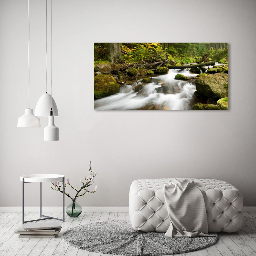 Tableau mural sur toile Ruisseau olczysien