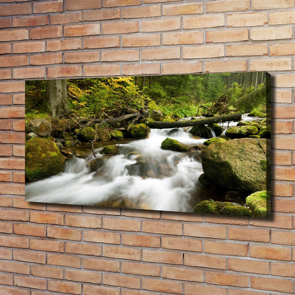 Tableau mural sur toile Ruisseau olczysien