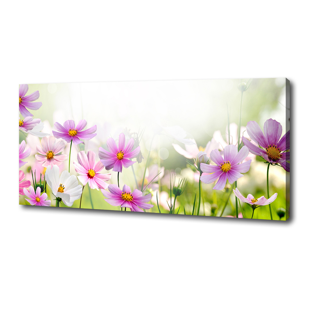 Tableau photo sur toile Fleurs dans un pré