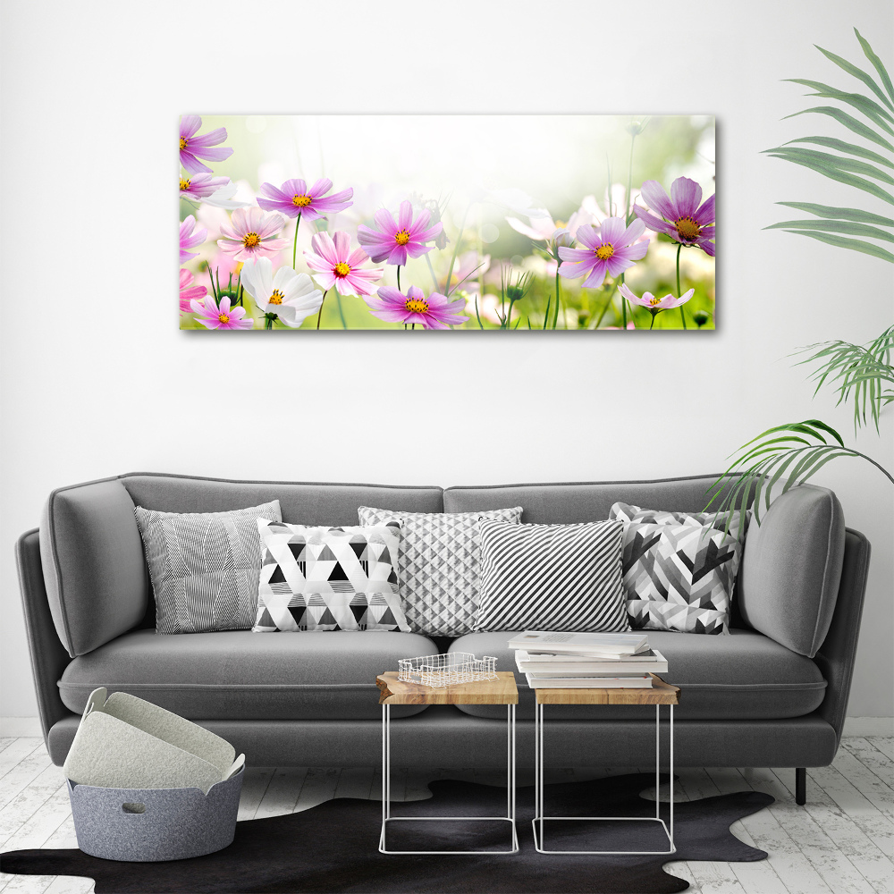 Tableau photo sur toile Fleurs dans un pré