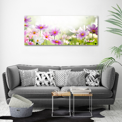 Tableau photo sur toile Fleurs dans un pré