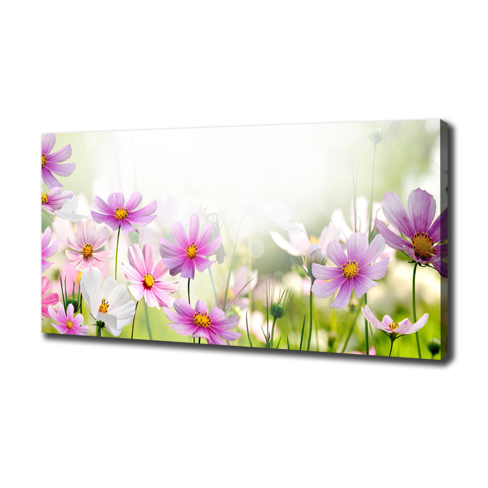 Tableau photo sur toile Fleurs dans un pré