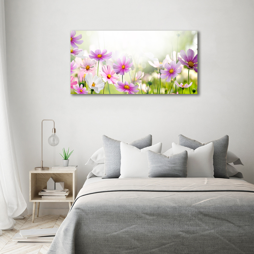 Tableau photo sur toile Fleurs dans un pré